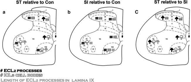 FIG. 5.