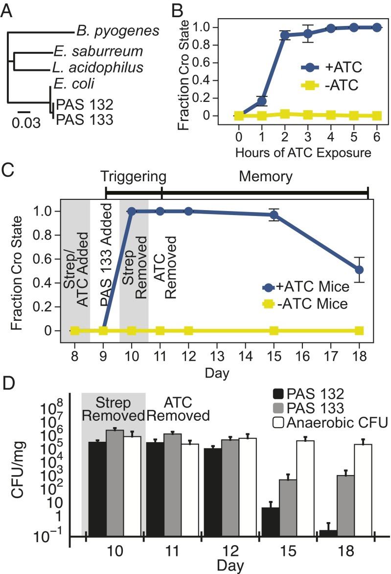 Fig. 4.