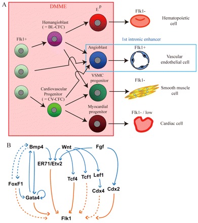 Fig. 8.