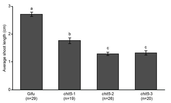 Figure 1—figure supplement 1.