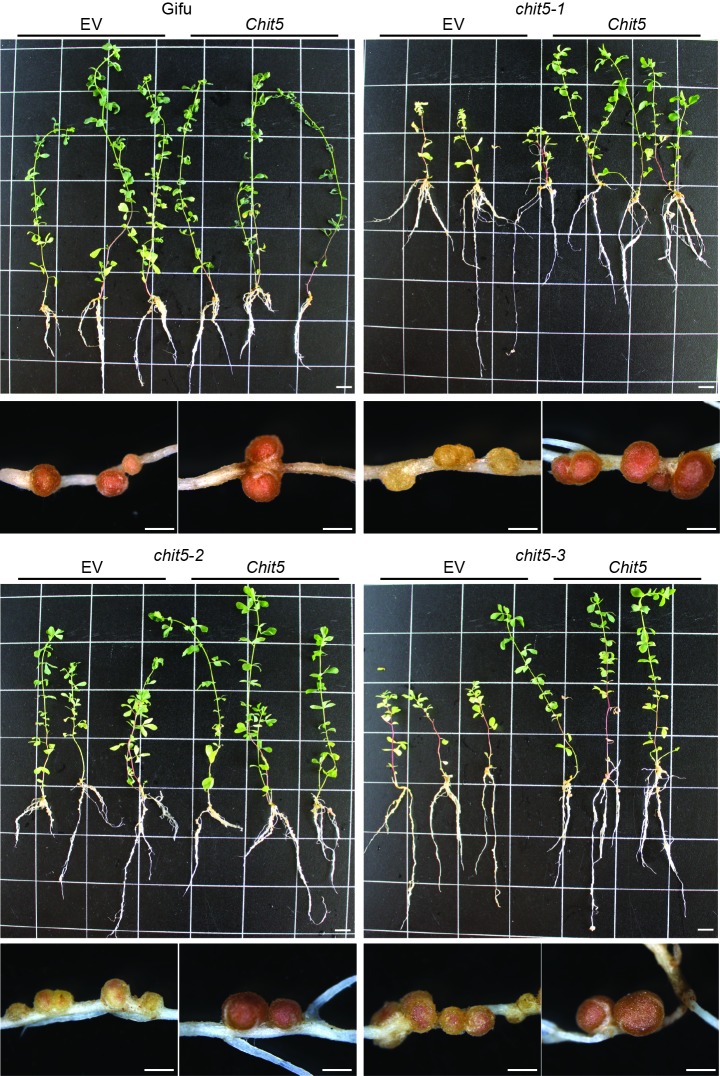 Figure 3—figure supplement 3.