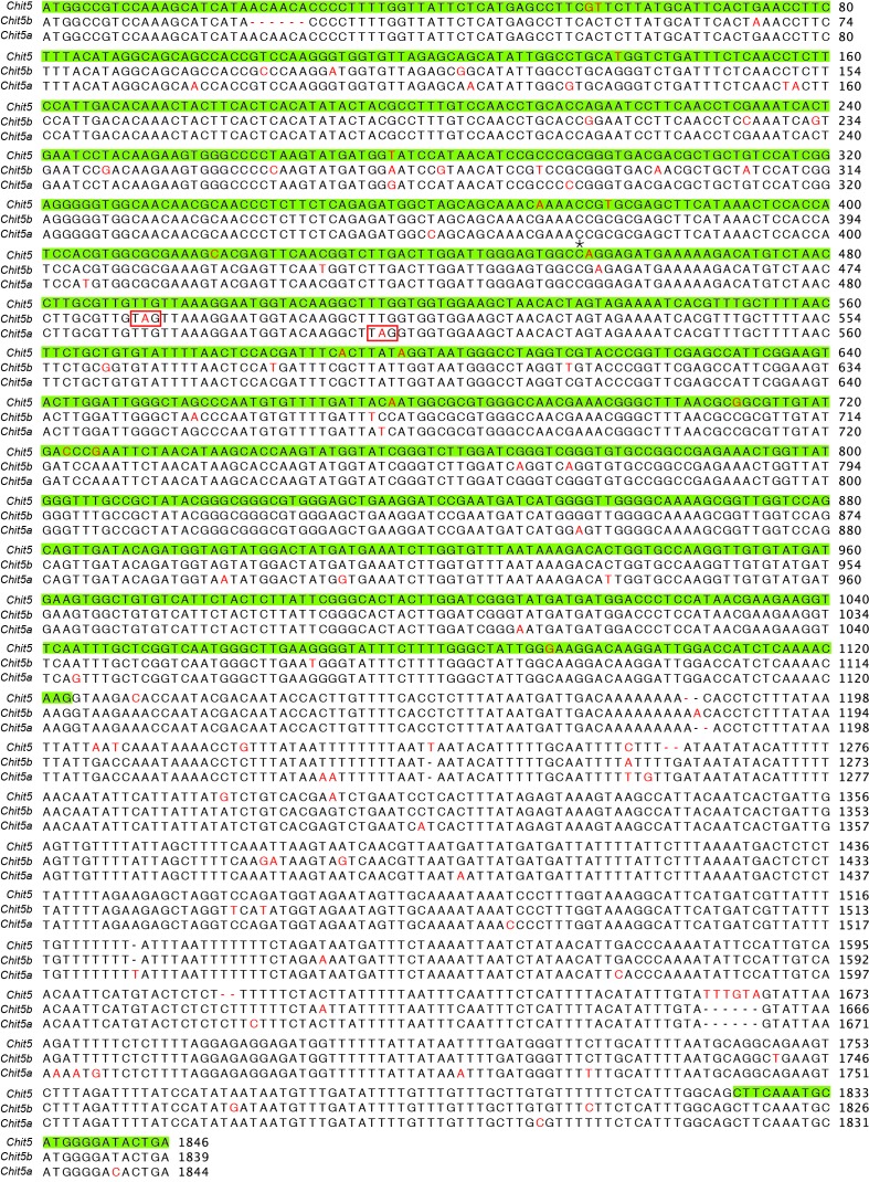 Figure 3—figure supplement 2.