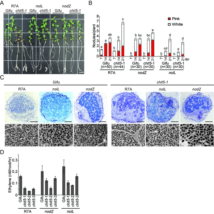 Figure 4—figure supplement 3.