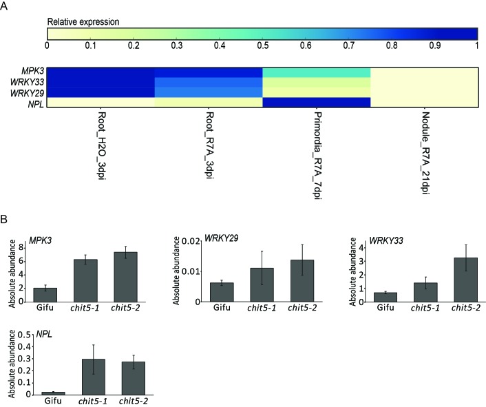 Figure 1—figure supplement 4.