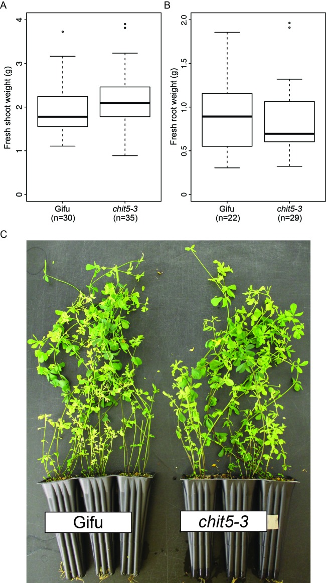 Figure 1—figure supplement 2.