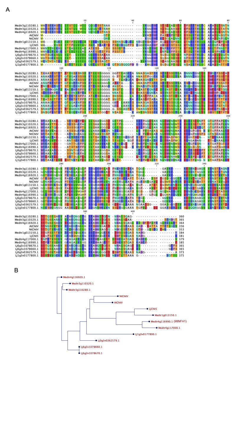 Figure 4—figure supplement 6.