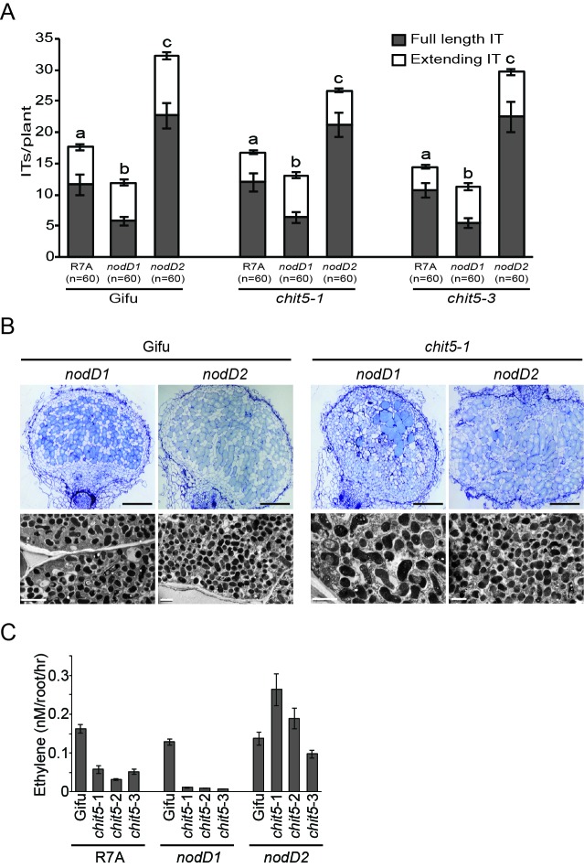 Figure 4—figure supplement 1.