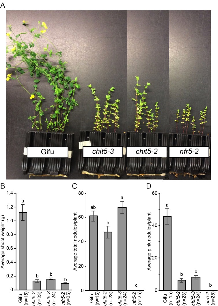 Figure 4—figure supplement 4.