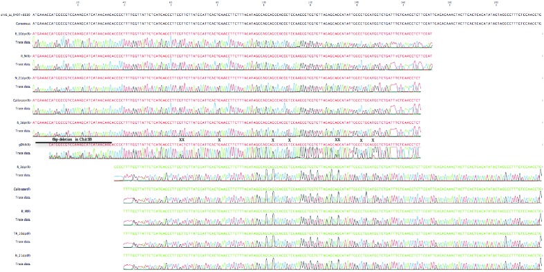 Figure 4—figure supplement 7.