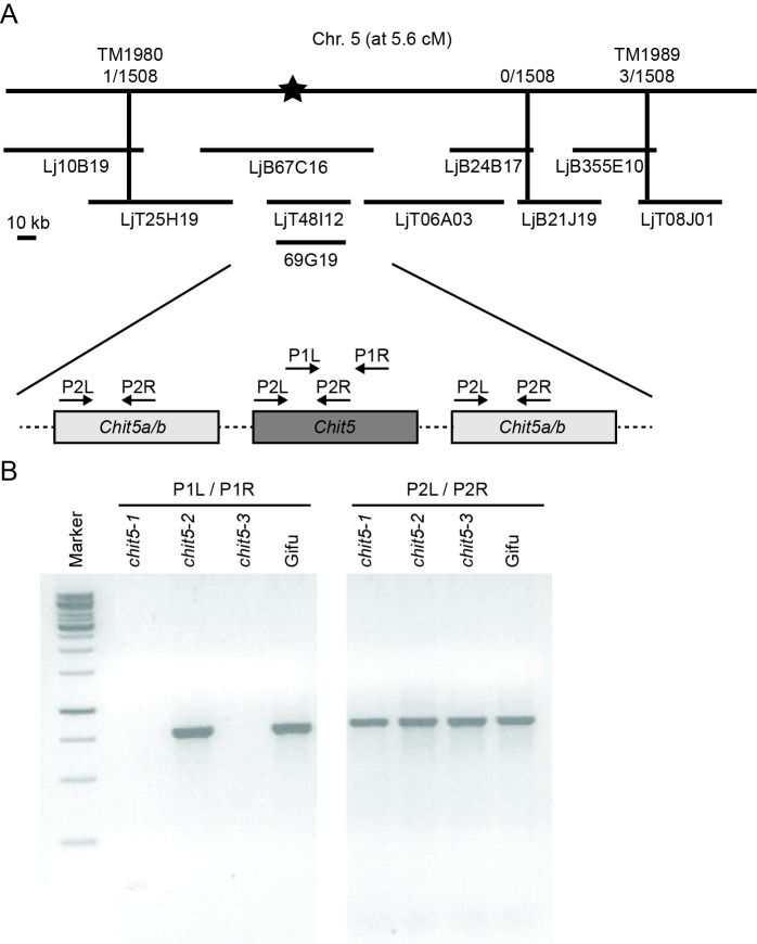 Figure 3—figure supplement 1.