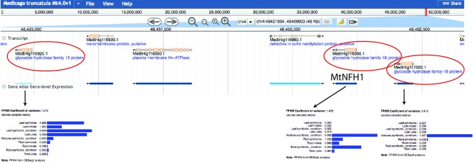 Figure 4—figure supplement 5.