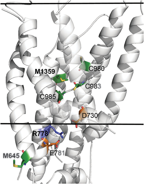 Fig. 3