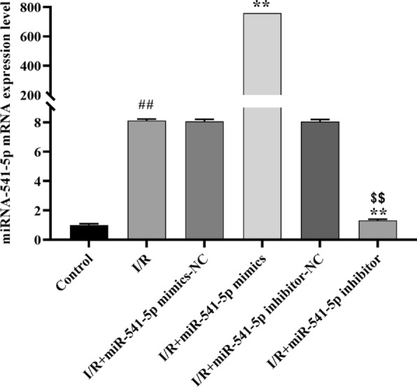 Fig. 11