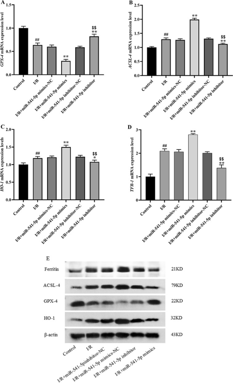 Fig. 14
