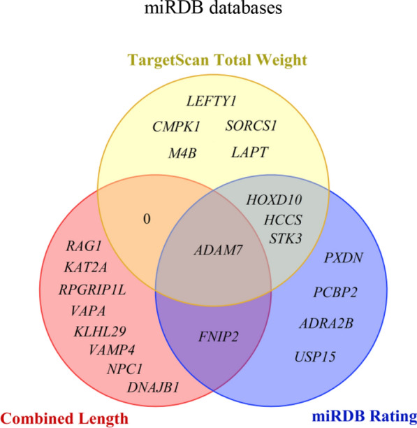 Fig. 18