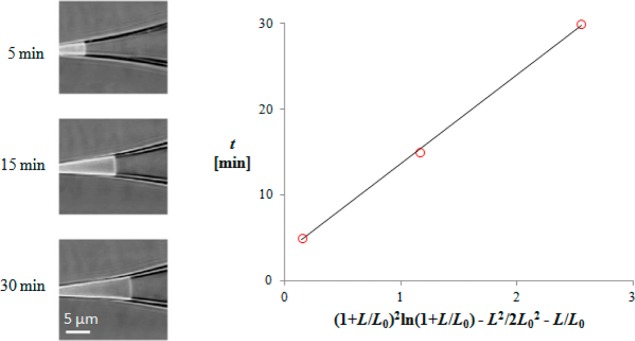 Figure 8