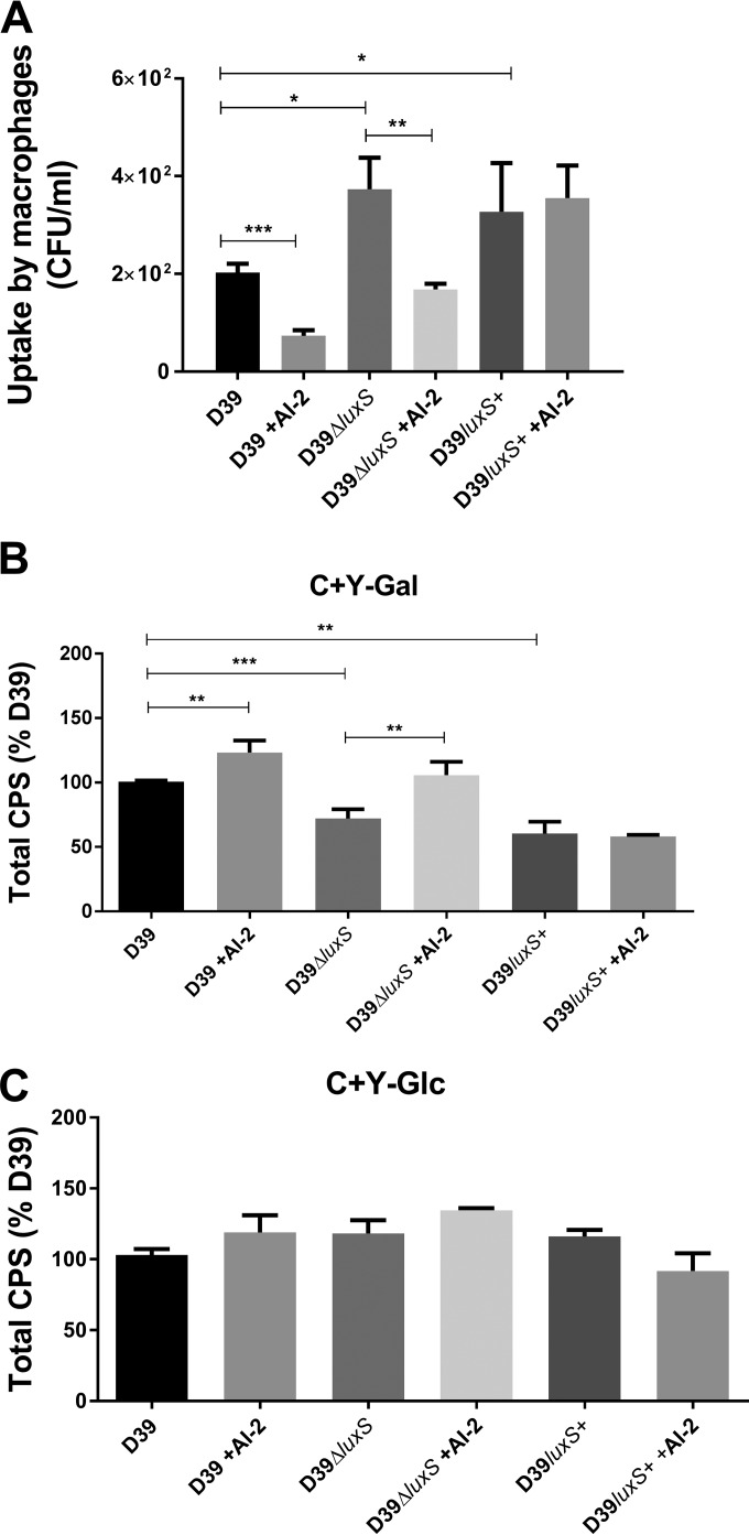 FIG 4 