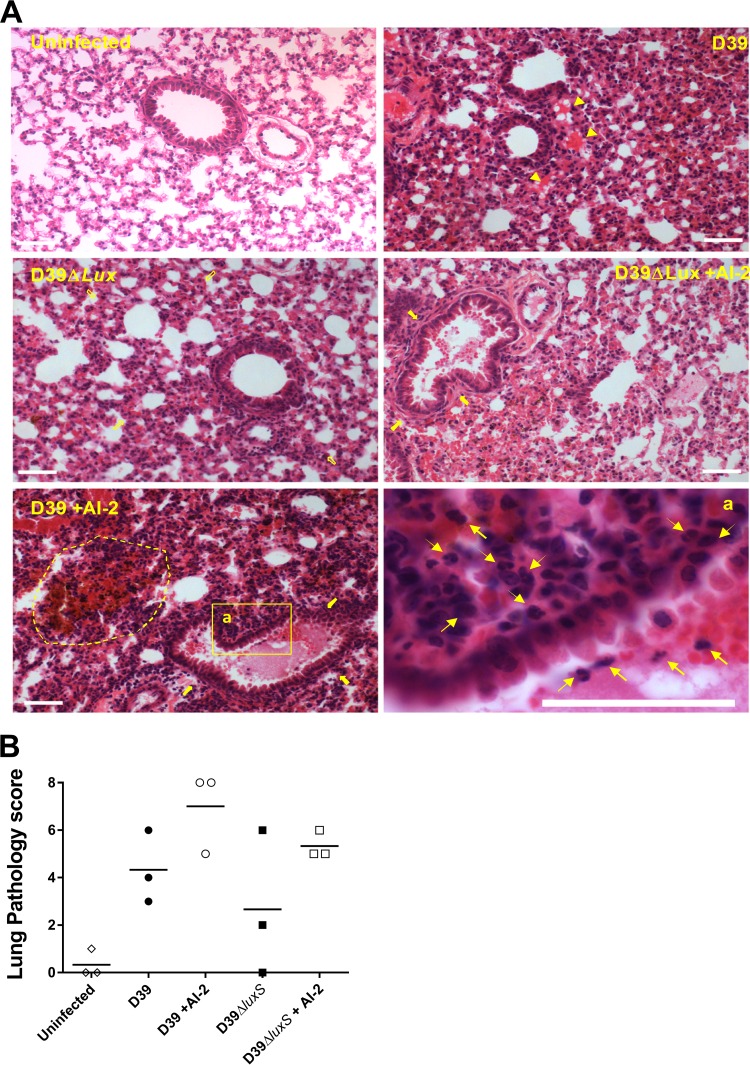 FIG 3 