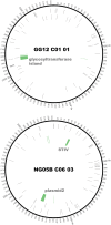 <sc>Fig</sc>. 2.—
