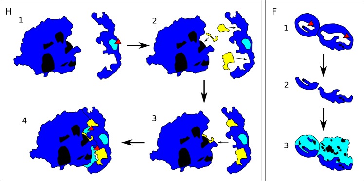 Fig. 3