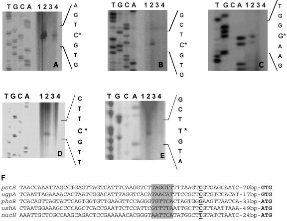 FIG. 4.