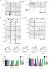 Extended Data Figure 5