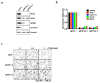 Extended Data Figure 10