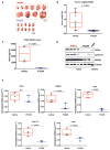 Extended Data Figure 7