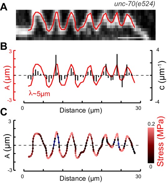 Figure 9—figure supplement 2.