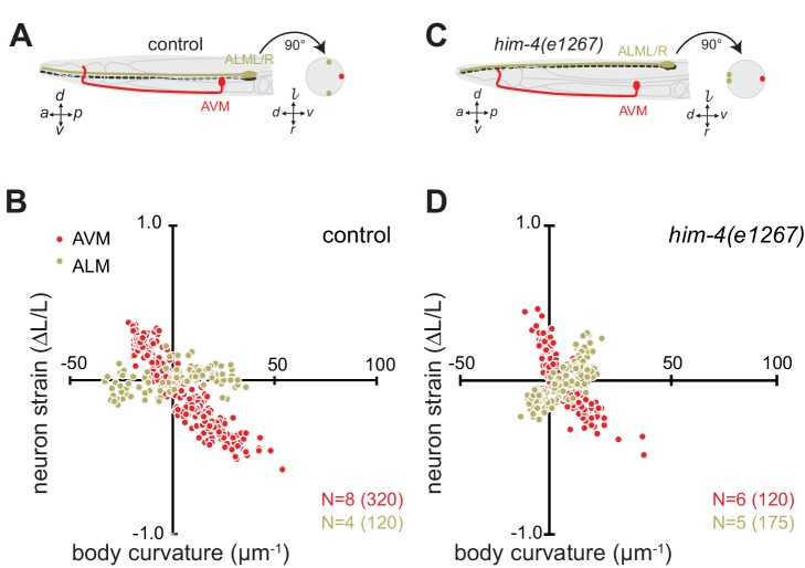 Figure 2—figure supplement 1.