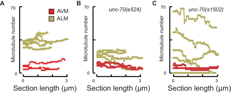 Figure 9—figure supplement 1.