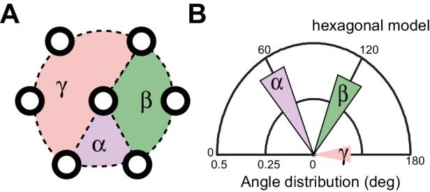 Figure 6—figure supplement 1.