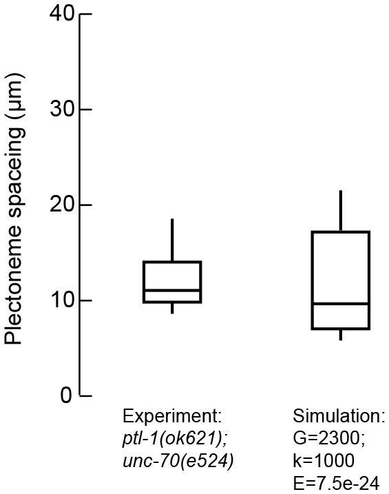 Figure 4—figure supplement 3.