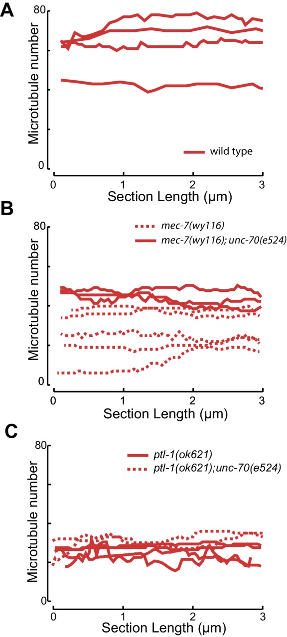 Figure 6—figure supplement 2.