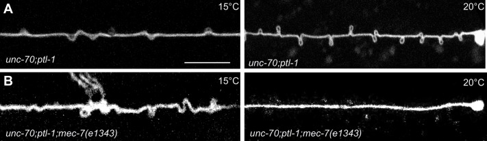 Figure 10.