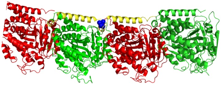 Figure 1—figure supplement 2.