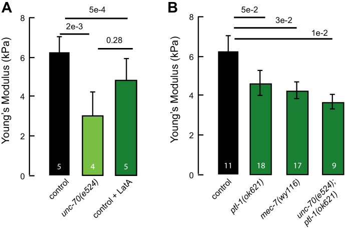 Figure 4—figure supplement 2.