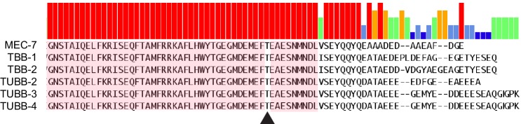 Figure 1—figure supplement 1.