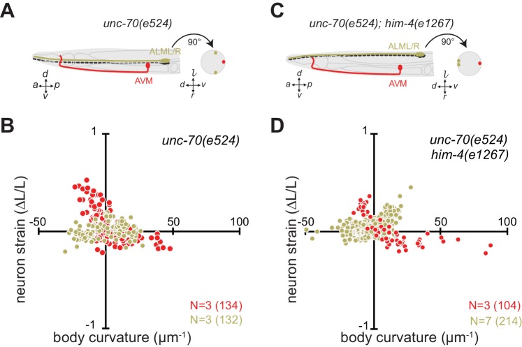 Figure 3—figure supplement 1.