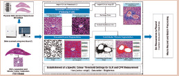 Flow diagram showing methodology of software-assisted image analysis for quantification of centrilobular fibrosis and sinusoidal lumen ratio