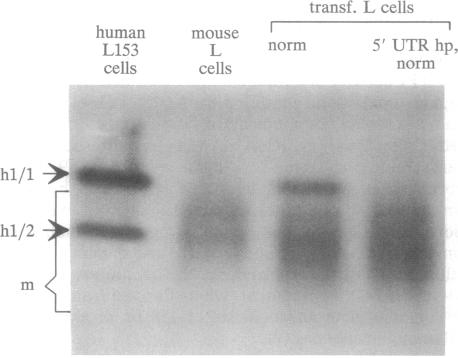 graphic file with name pnas01100-0130-b.jpg