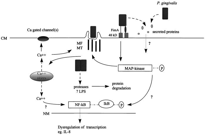 FIG. 3