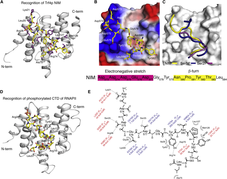 Figure 4