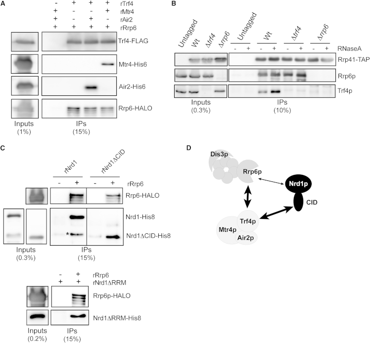 Figure 5