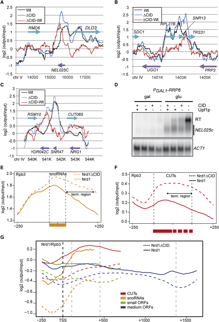 Figure 1