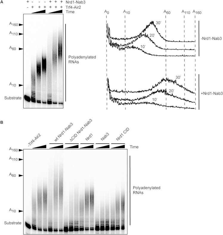 Figure 6