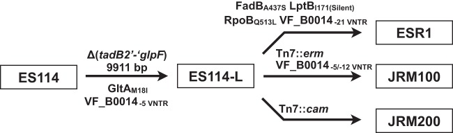 FIG 4