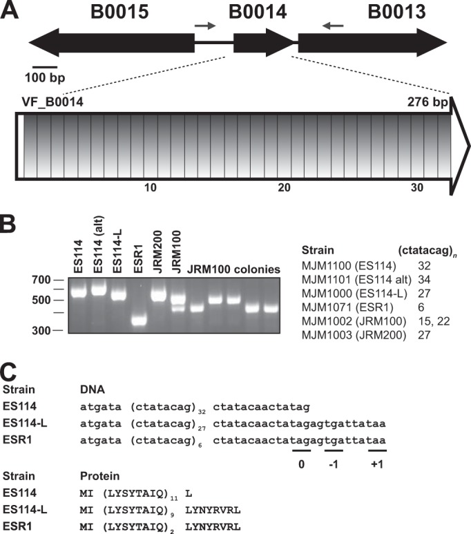 FIG 3