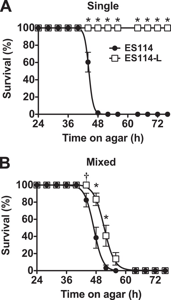 FIG 6