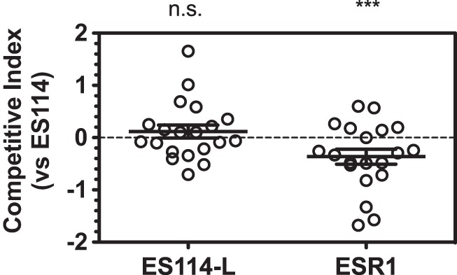 FIG 5